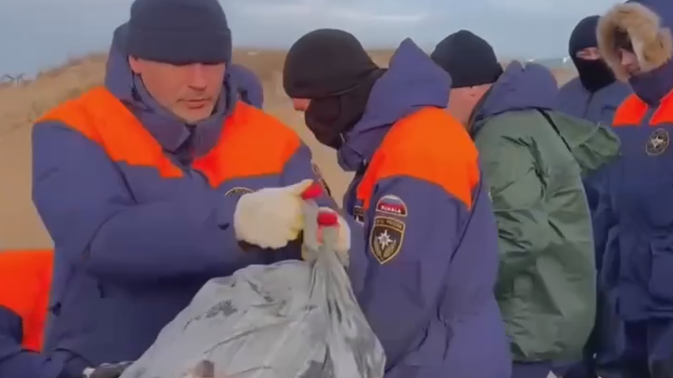 Обложка видео