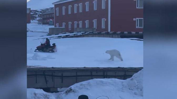 Обложка видео