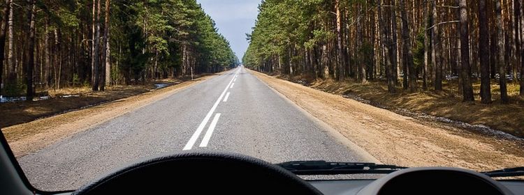 Билет № 23. Вопрос № 9. На этом участке дороги Вам запрещается: