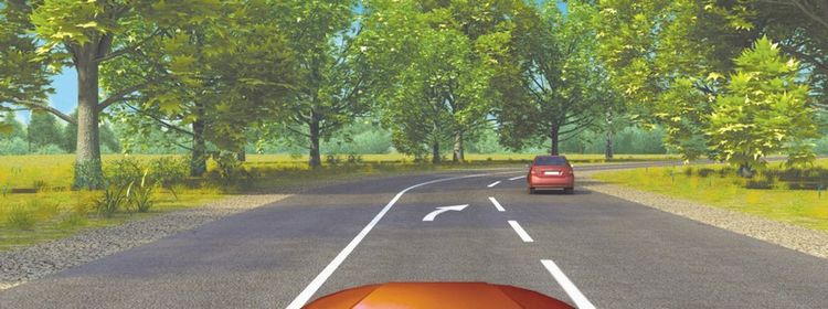 Билет № 11. Вопрос № 5. Эта разметка, нанесенная на полосе движения: