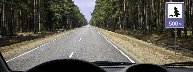 Билет № 17. Вопрос № 12. В каком месте на данном участке дороги Вам разрешено поставить автомобиль на длительную стоянку?