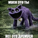 «Нет, это Дремуся» — отсылка к чему-то дремучему, болотному и сонному. На шаблоне обычно фигурирует жутковатый мультяшный кот