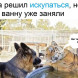 К мему можно добавить любую подпись, например, о бытовых проблемах