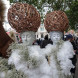 Выставка цветов RHS Chelsea Flower Show 2026 – Лондон, Великобритания