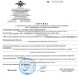 Образец справки об отсутствии судимости
