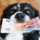 Дивиденды спасут от инфляции: какие акции купить по стратегии «собак Доу»