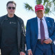 Госденьги для своих: кто зарабатывает на реформах Маска и Трампа