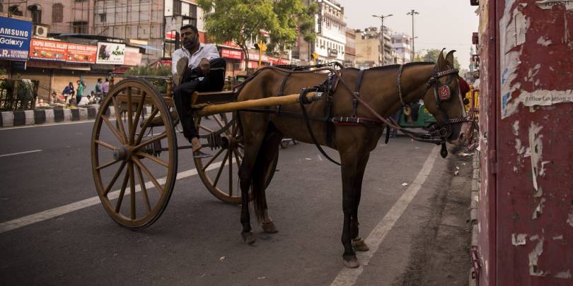 Фото: Anindito Mukherjee / Getty Images