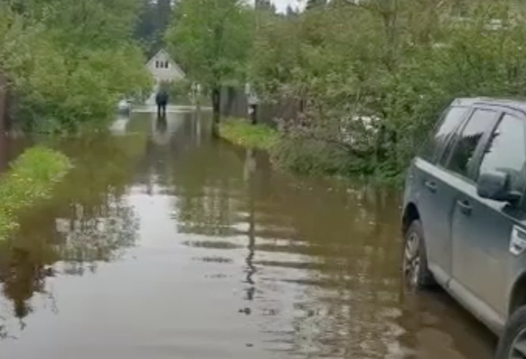 Видео: МЧС РФ
