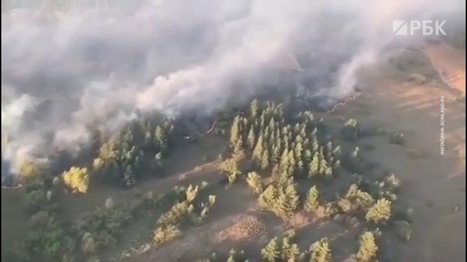 Видео: donland.ru/ instagram
