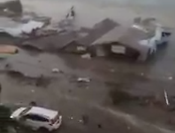Видео: davidlipson / Twitter