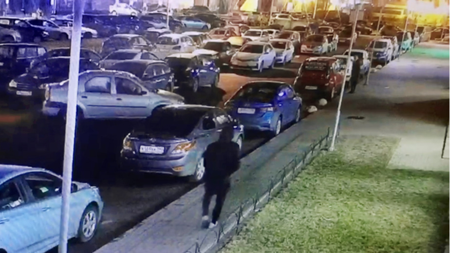 Видео: МВД России по г. Санкт-Петербургу и Ленинградской области