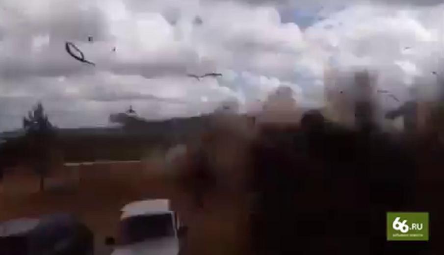 Видео: 66.ru