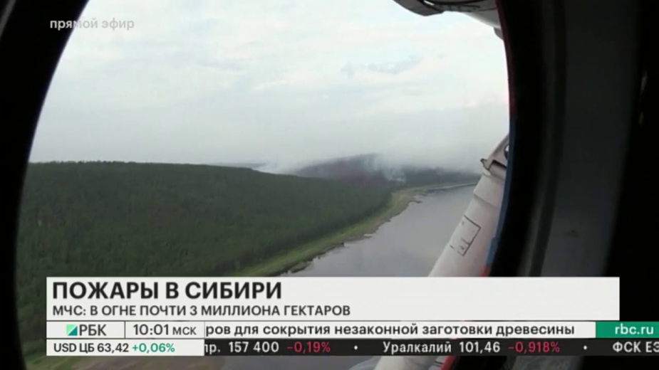 В МЧС назвали причины распространения пожаров в лесах Сибири