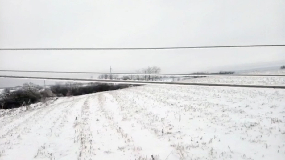 Видео: rossetisevzap / VK