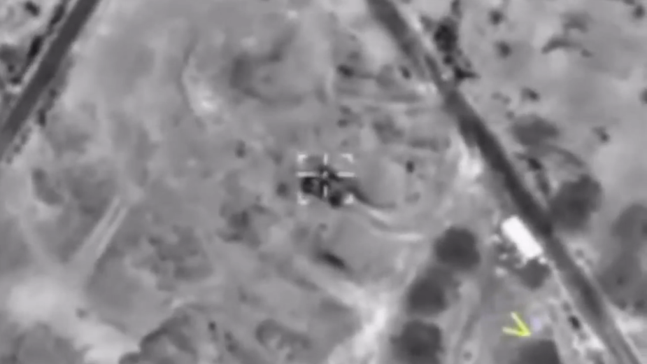 Видео: mod_russia / Twitter