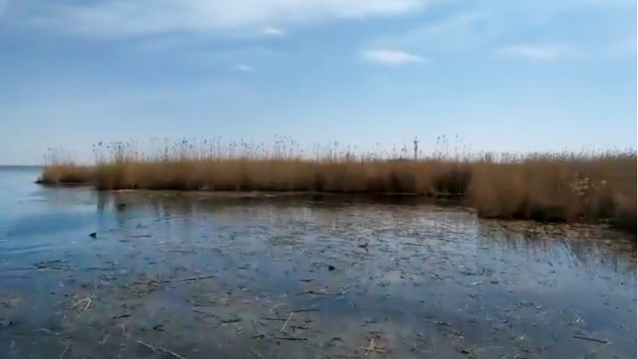 Видео: Каспийский природоохранный центр