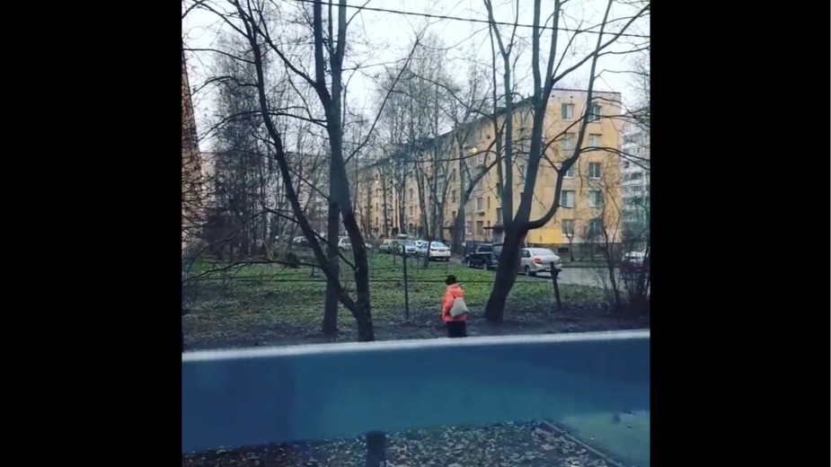 Видео: 1_dom_rf/instagram