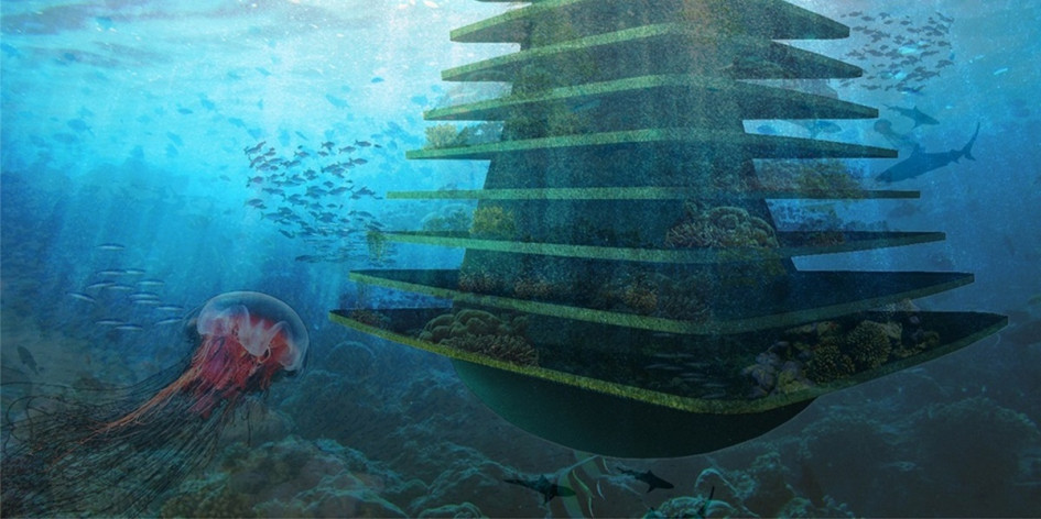 Сооружение крепится к морскому дну. Здесь будут как надводная, так и подводная части. В доме-дереве смогут жить птицы, рыбы, грызуны и насекомые