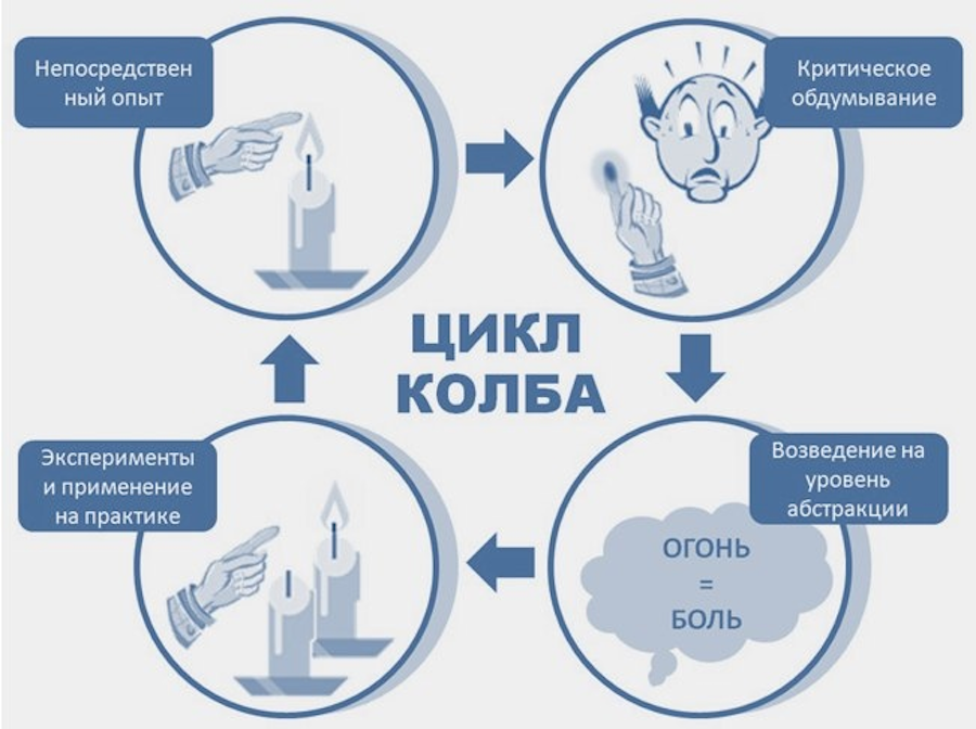 Цикл обучения Дэвида Колба