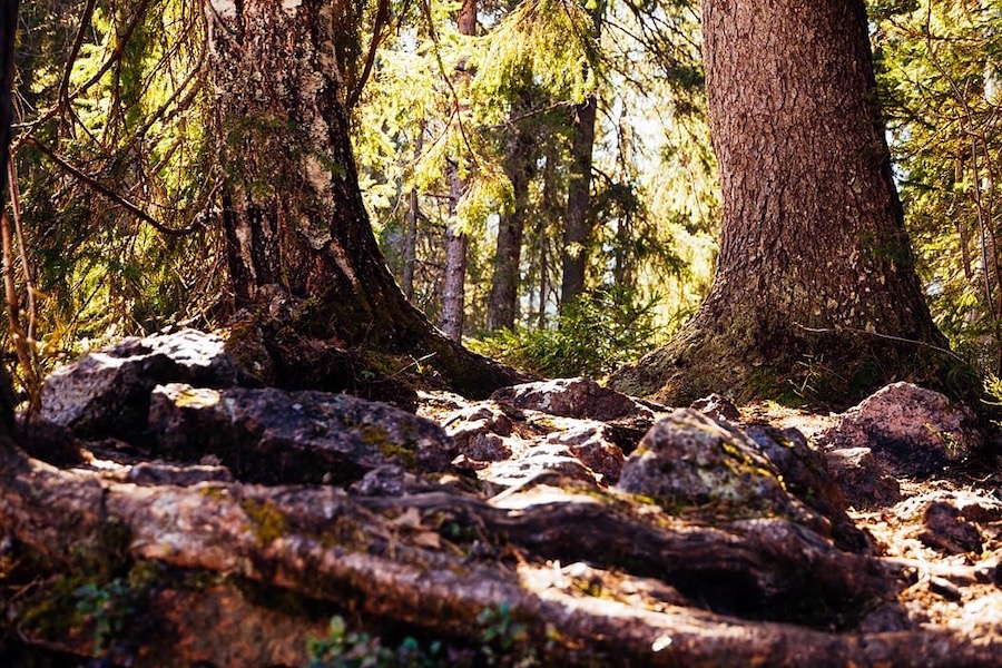 Фото: Екатерина Гусева