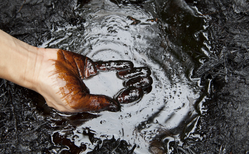 Фото: Shutterstock