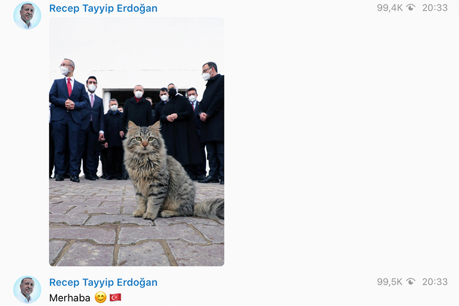 Фото: RTErdogan / t.me