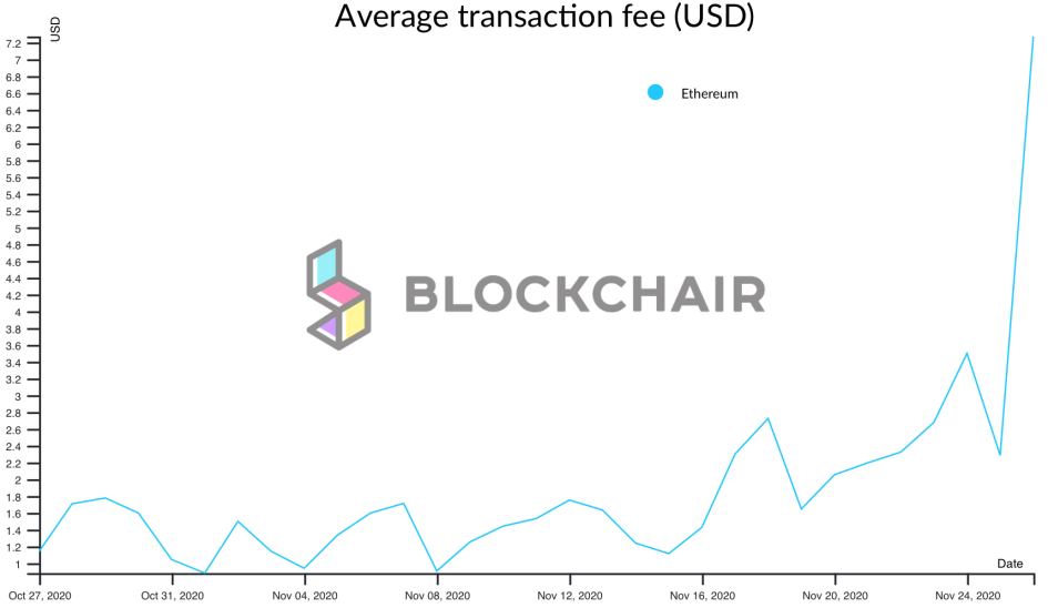 Фото: blockchair.com