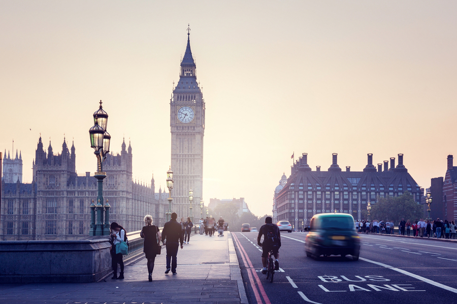 Фото: ESB Professional / Shutterstock
