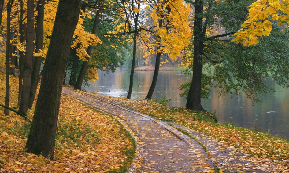 Царицыно