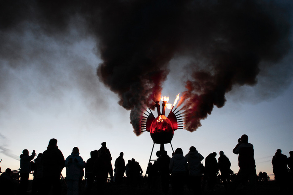 «Жар-птица», Николай Полисский. 2008 год