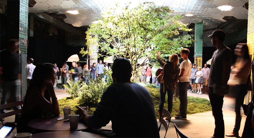 Подземный парк Lowline в Нью-Йорке