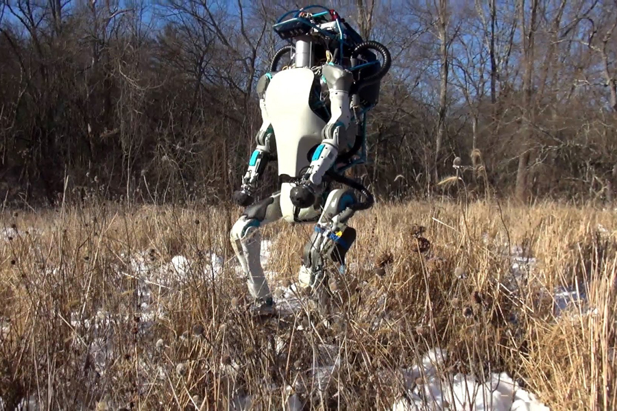 Булгаров считается экспертом мирового уровня по дизайну антропоморфных роботов: «дочке» Google он помог с внешним видом патрульного Atlas