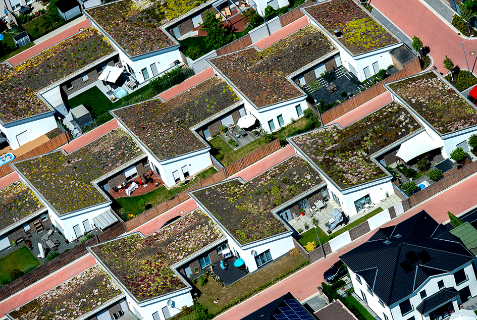 Фото: Hauke-Christian Dittrich/dpa/picture-alliance/ТАСС