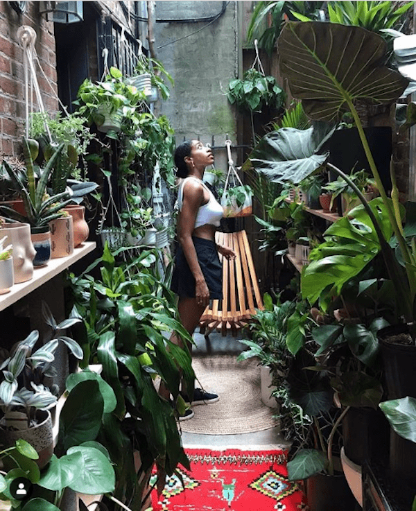 Фото: instagram.com / urbanjungleblog