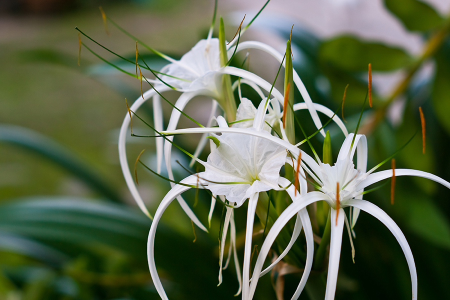 Фото: Shutterstock