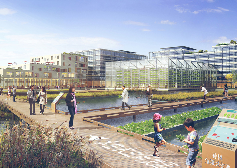 Фото: Sasaki Associates