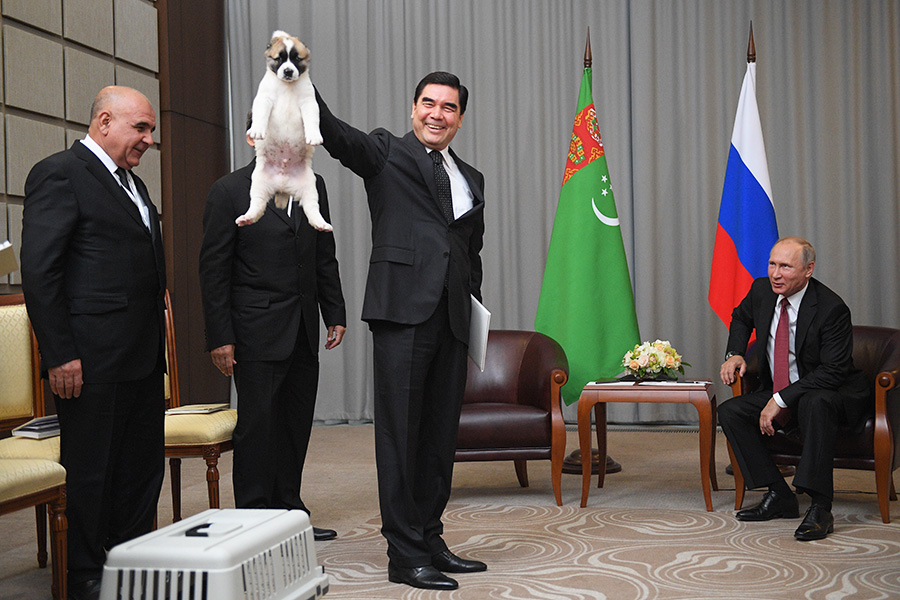 Президент Туркмении подарил Путину алабая :: Политика :: РБК