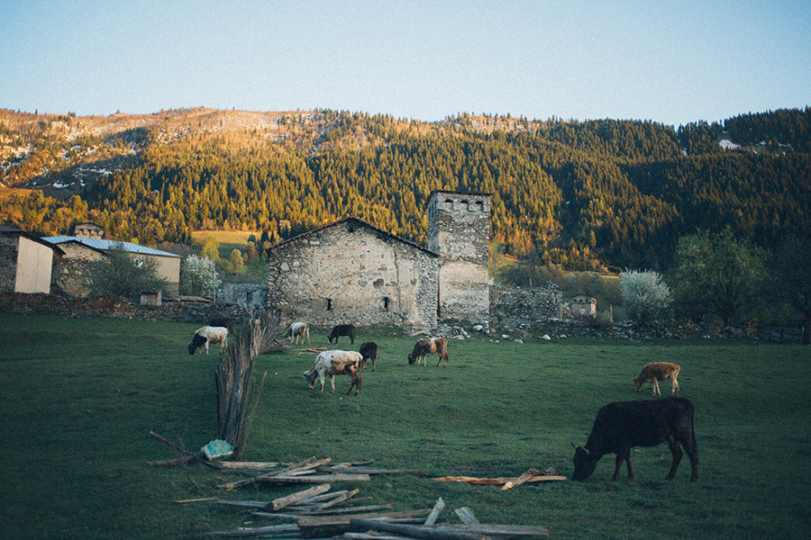 Фото: Elina Sazonova / Pexels