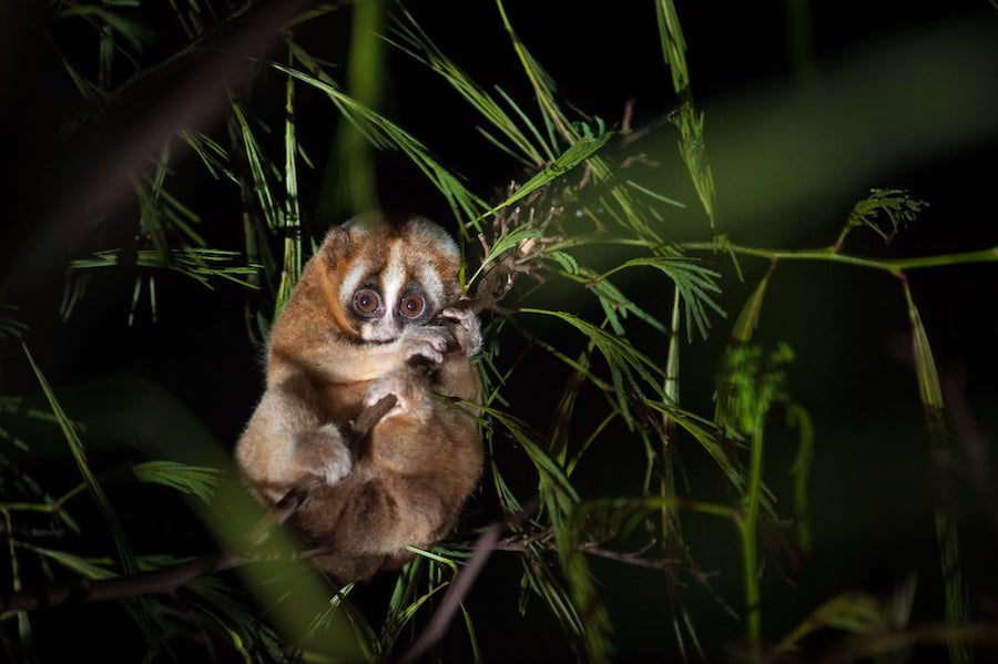 Фото: The Guardian