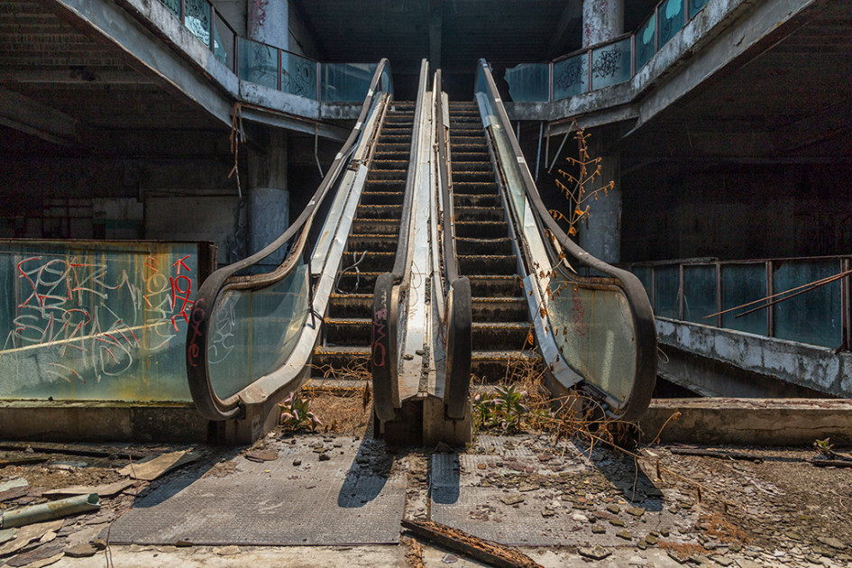 Фото: Dax Ward / BarcroftMedia / TASS