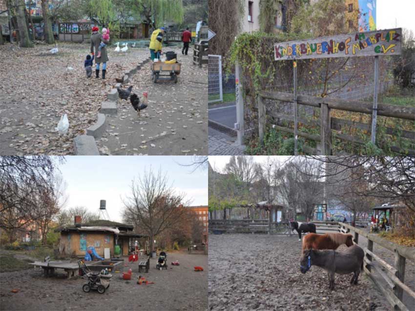 Фото: Егор Коробейников