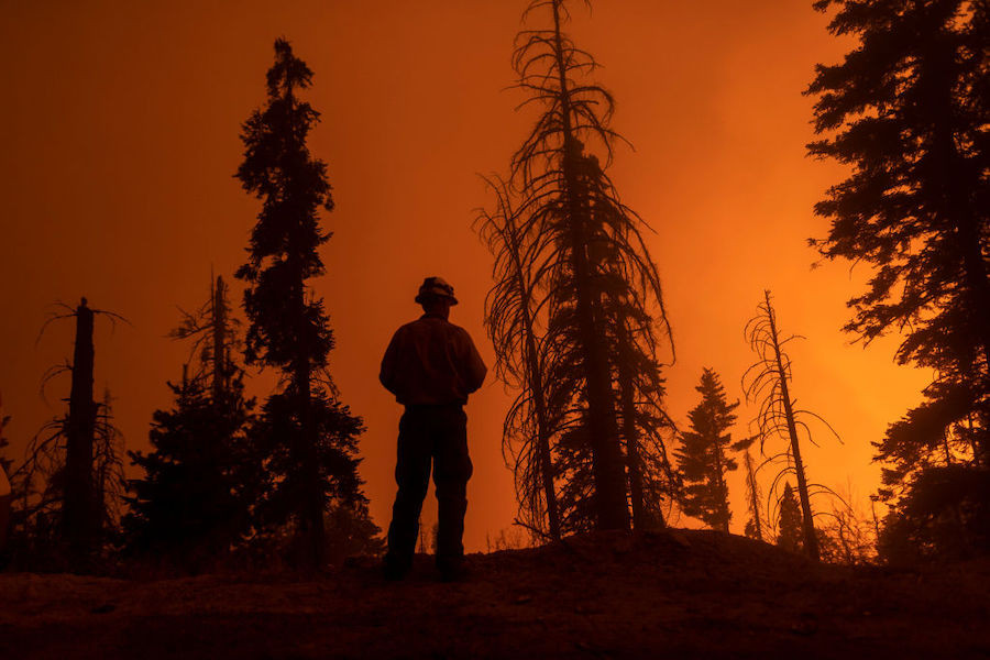 Фото: David McNew / Getty Images