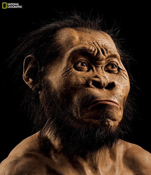Реконструкция лица Homo Naledi