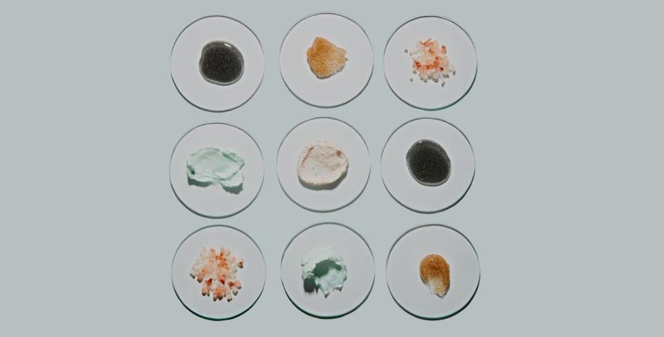 Фото: Shana Novak / Getty Images