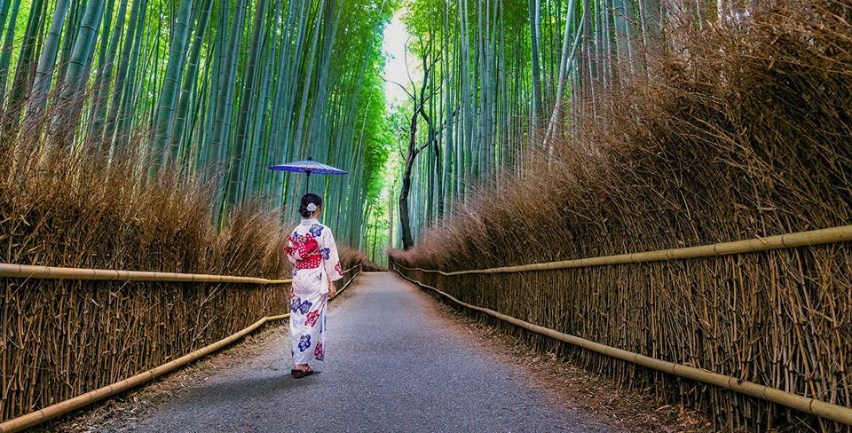 Фото: freepik, unsplash