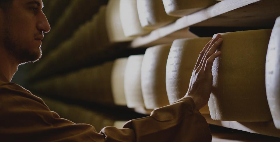 Фото: Kitreel / Shutterstock / FOTODOM