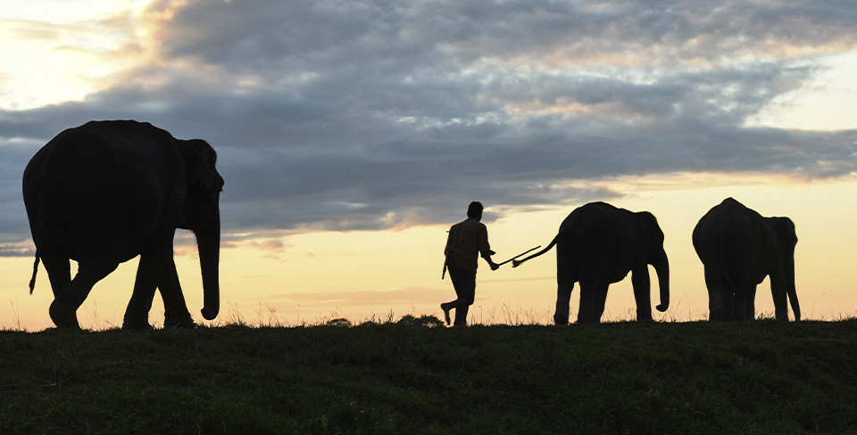 Фото: David Talukdar/NurPhoto via Getty Images