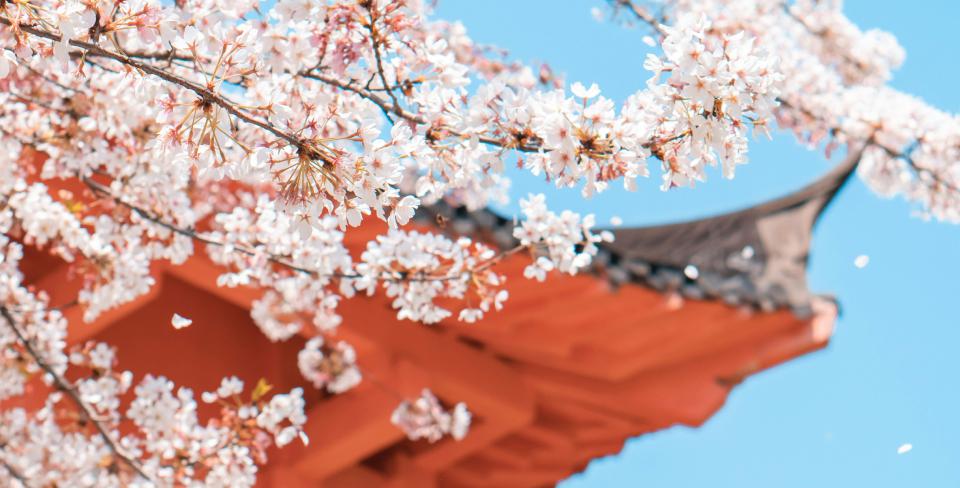 Фото: Xianyu hao / Unsplash
