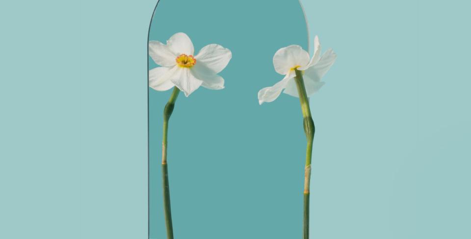 Фото: Neeqolah / Shutterstock / FOTODOM